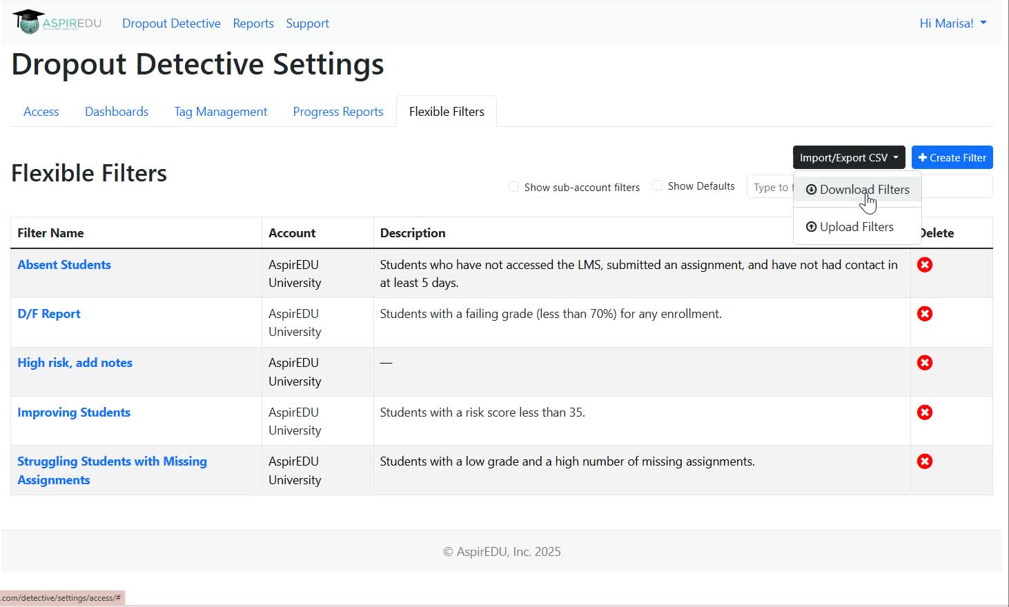 View of Flexible Filters tab in Access Management with selecting Import/Export CSV option