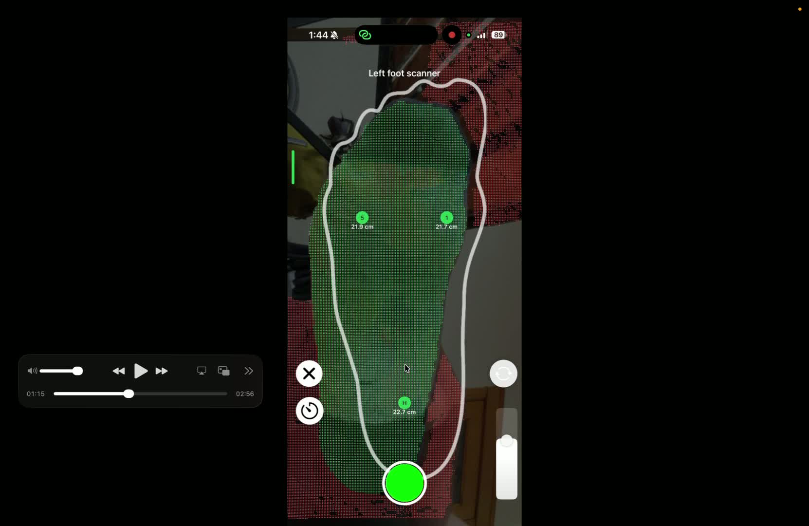 Verify the capture area and start scanning